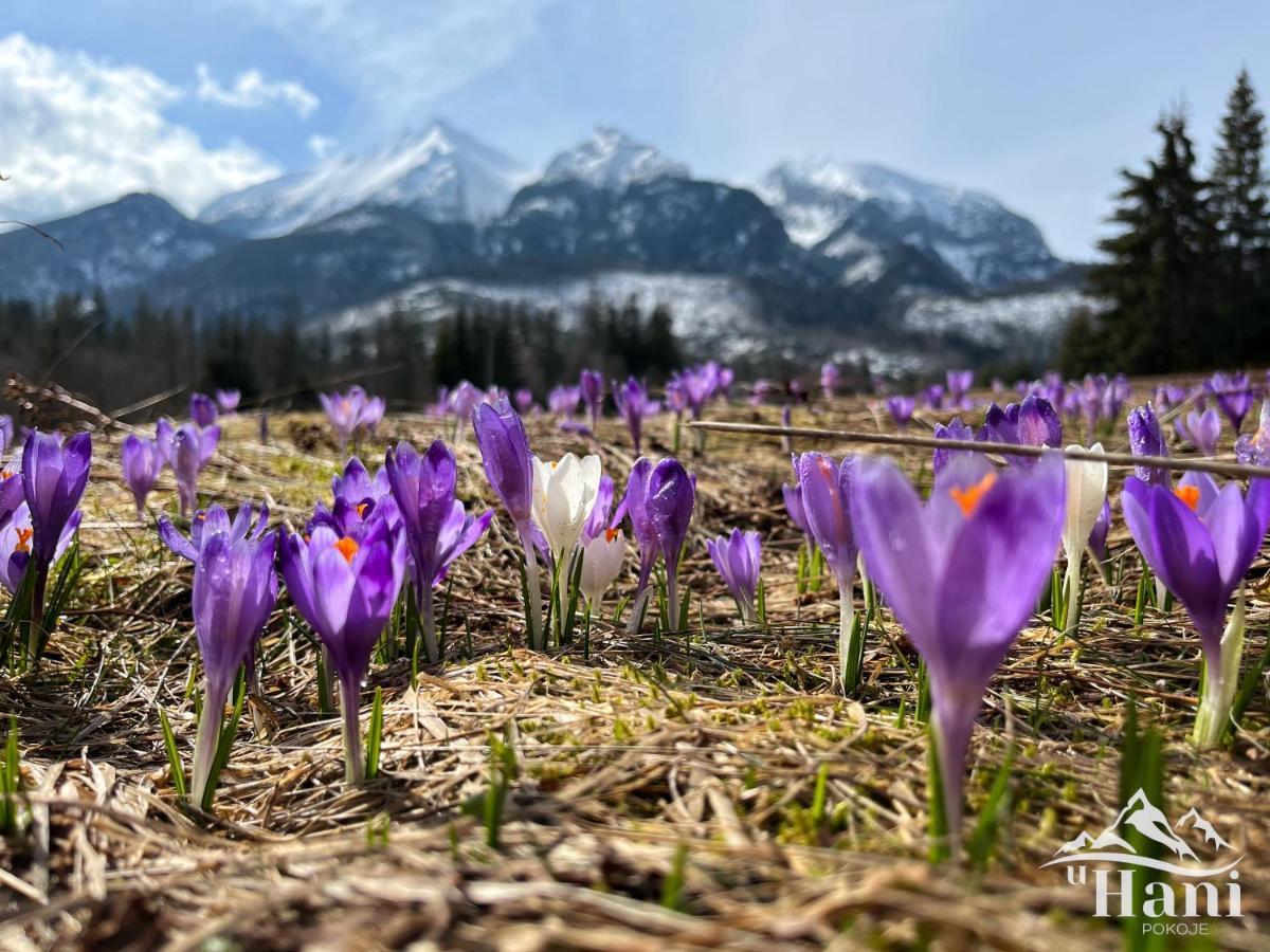 Pokoje U Hani - Sauna, Balia Z Hydromasazem Bukowina Tatrzańska Esterno foto